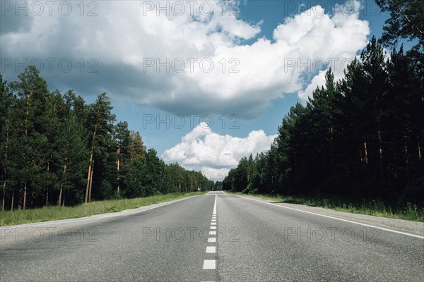 Trees near distant road