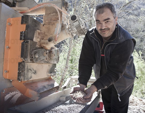 Carpenter holding wood chips