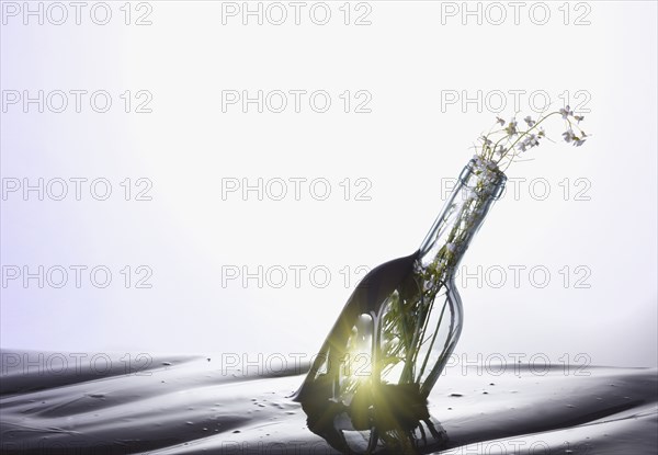 Floating bottle with flowers