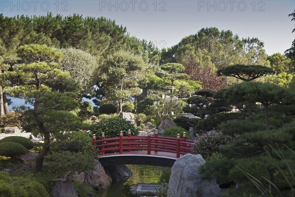 Asian bridge over pond