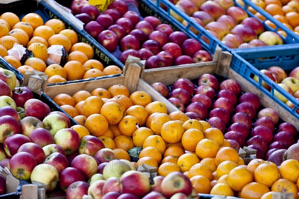 Fruit for sale in outdoor market