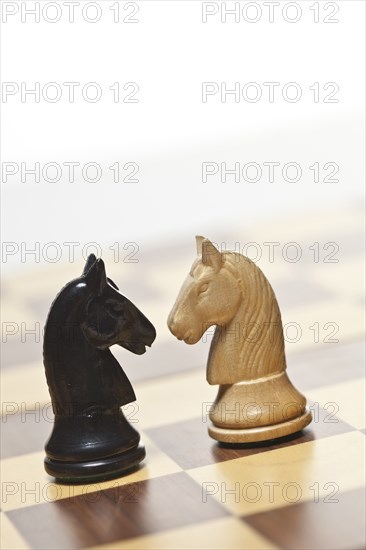 Close up of knight chess pieces