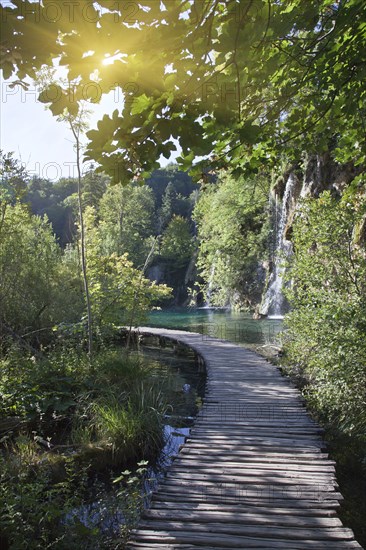 Wooden walkway to waterfall