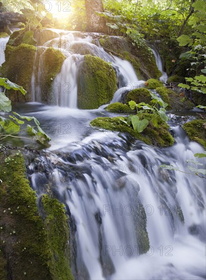 View of waterfall in forest