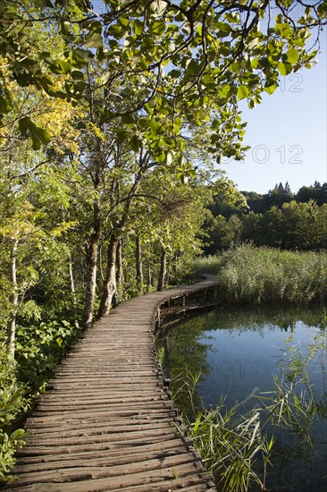 Wooden walkway by still lake