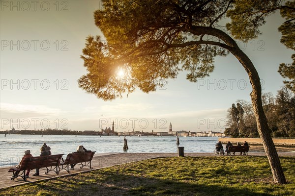 Park benches on waterfront