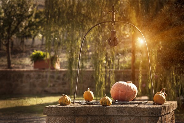 Pumpkins on stone well