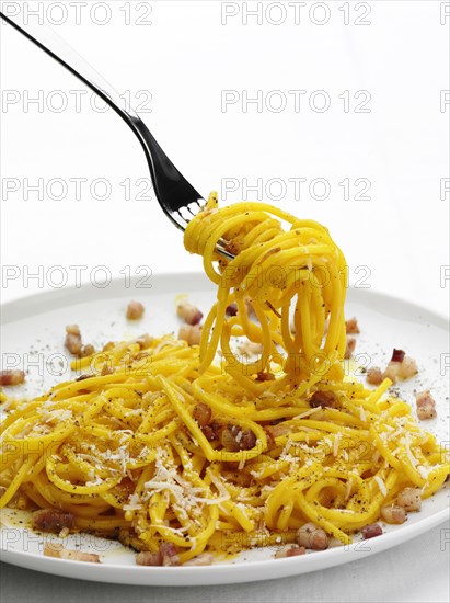 Close up of pasta with bacon bits and cheese