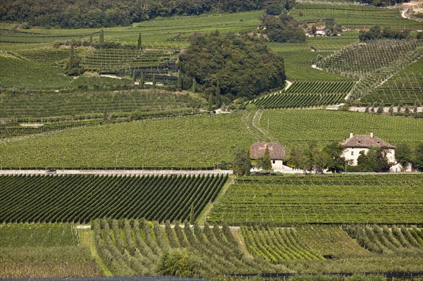 Aerial view of wine country