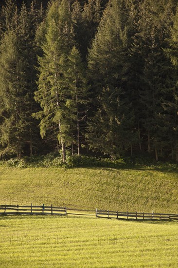 Wooden fence in rolling landscape