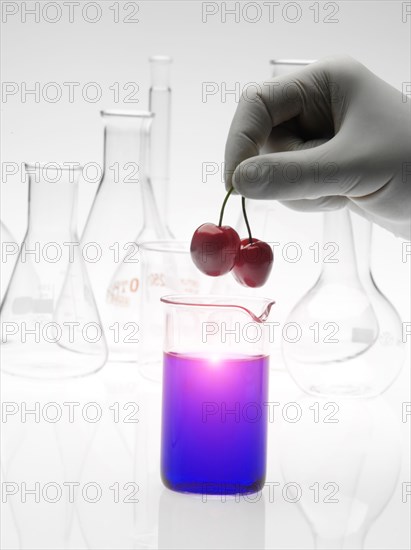Caucasian scientist placing cherries into purple liquid