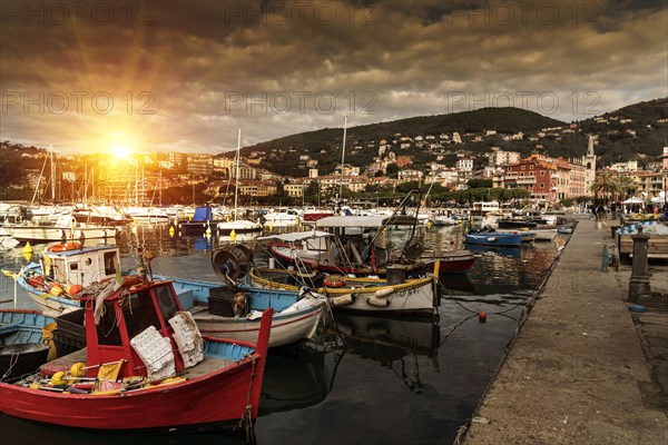 Boats at marina at sunset