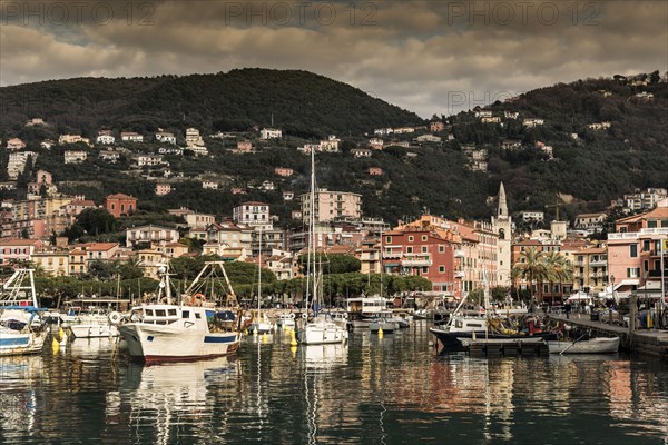 Boats at marina