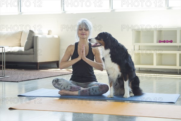 Dog watching woman doing yoga