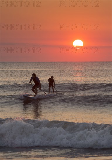 Silhouette of men paddleboarding on ocean waves