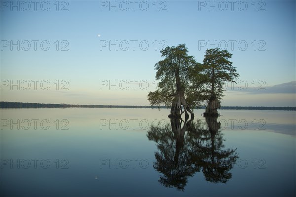 Reflection of trees in river at sunset