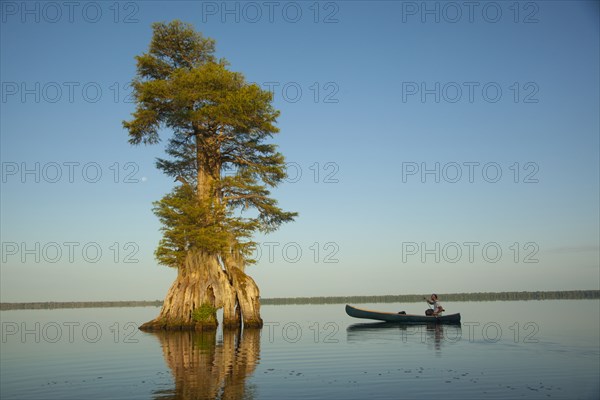 Boy in canoe near tree in river