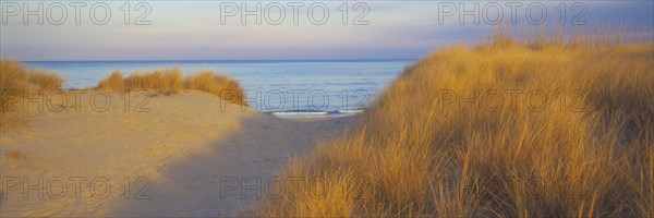 Path between sand dunes near ocean