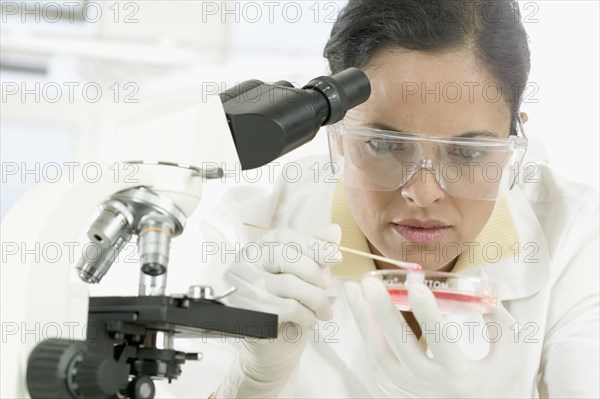 Woman studying culture in lab