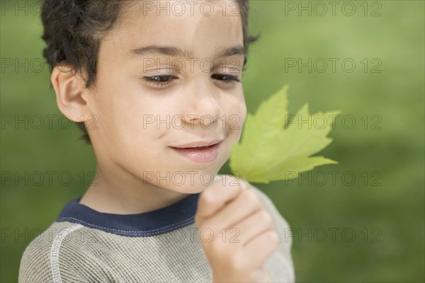 Boy studying green leaf