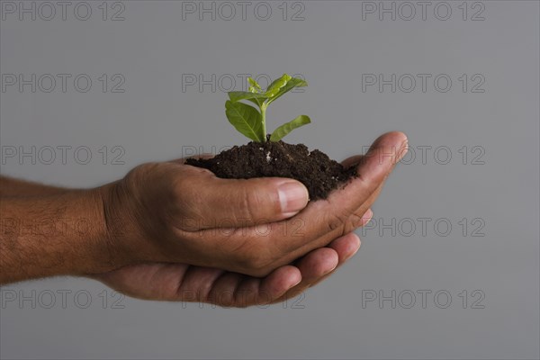 Close up of hands holding mound of dirt and plant
