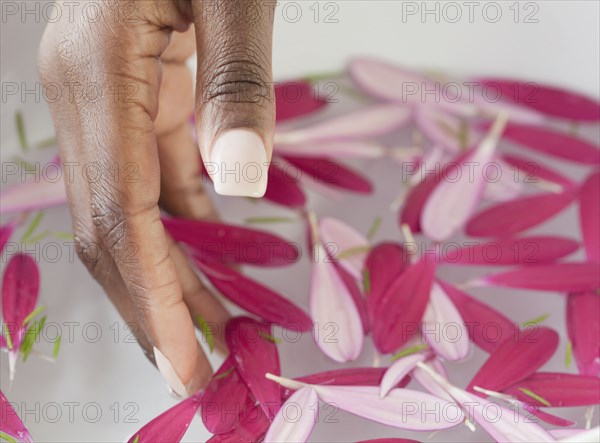African woman dipping hand into bowl of petals and water