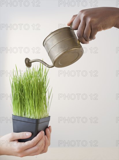 African woman pouring water on grass in pot