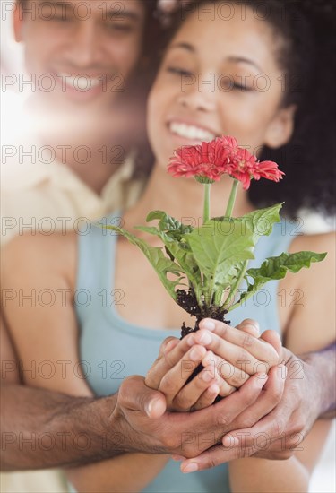 Couple cupping blooming seedling