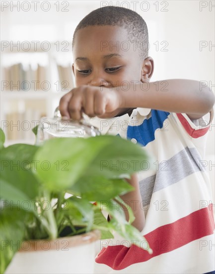 Black boy watering plant