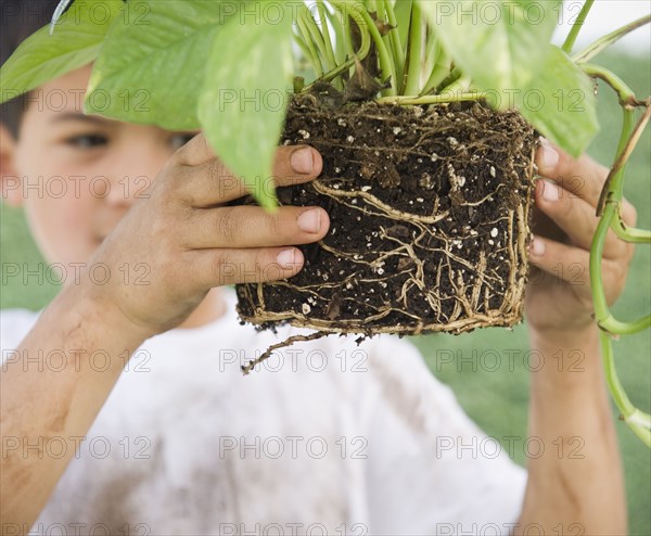 Mixed race boy holding garden plant