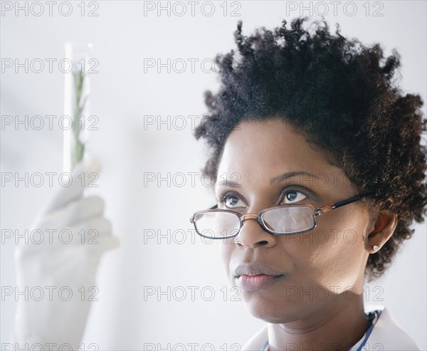 Black scientist looking at herb in test tube