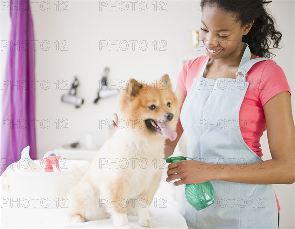 Mixed race pet groomer grooming Pomeranian dog