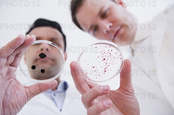 Scientists looking at petri dishes