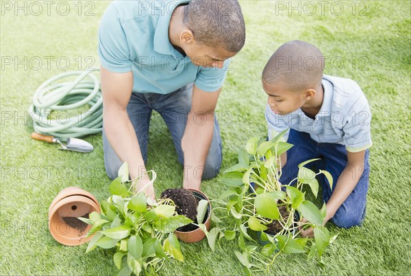 Father and son gardening