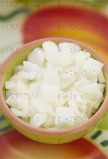Chopped onion in bowl