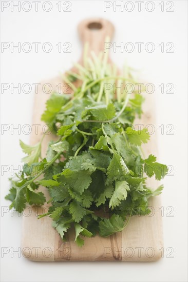 Cilantro on cutting board