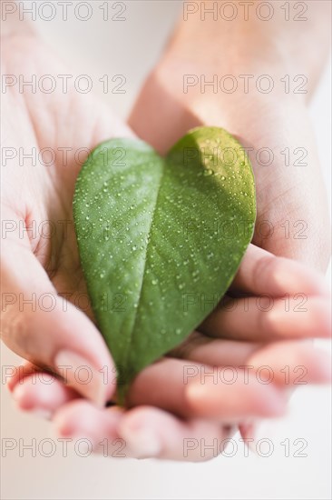 Cape Verdean woman holding green leaf