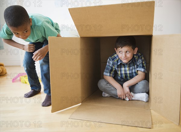 Boys playing with cardboard box
