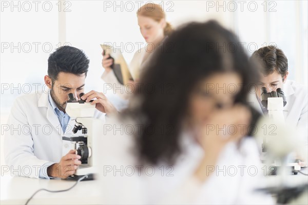 Scientists working in laboratory