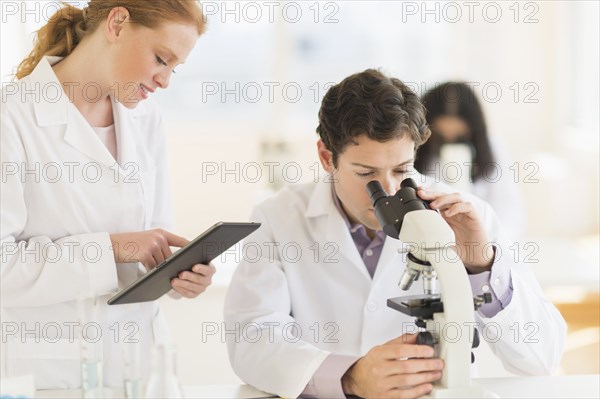 Scientists working in laboratory