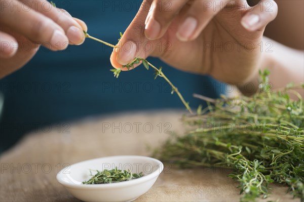 Mixed race woman trimming herbs