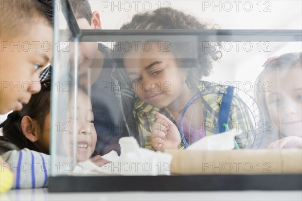 Children watching hamster