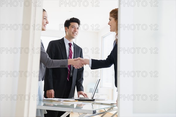 Business people shaking hands in office