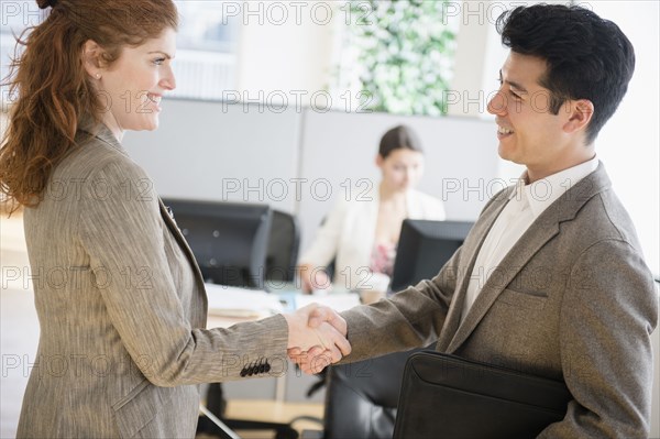 Business people shaking hands in office