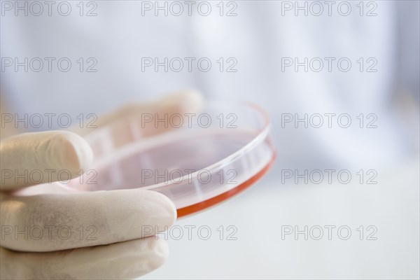 Close up of mixed race scientist holding Petri dish