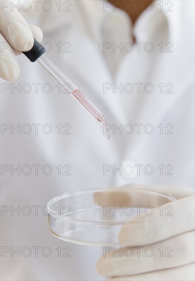 Close up of mixed race scientist dropping liquid into Petri dish