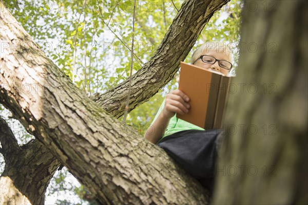 Low angle view of Caucasian boy reading in tree