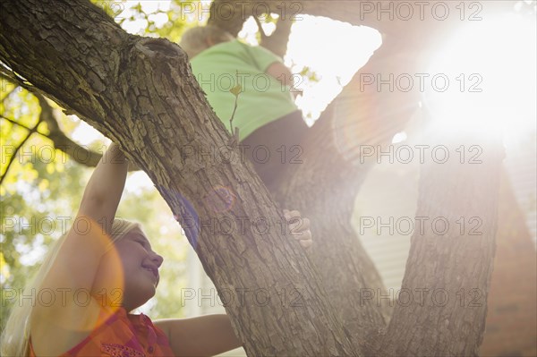 Low angle view of Caucasian children climbing tree