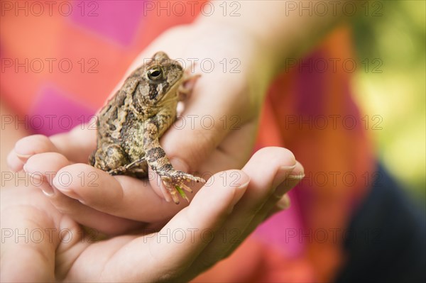 Close up of Caucasian girl holding frog outdoors