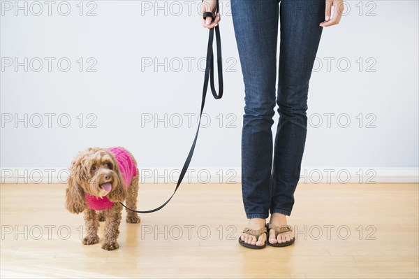 Caucasian woman with pet dog on leash